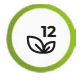 12 Etape Purificare