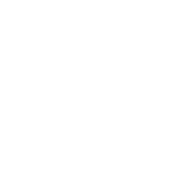 Debit 3D